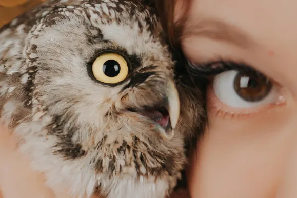 Casino Fever Bingo Suporte